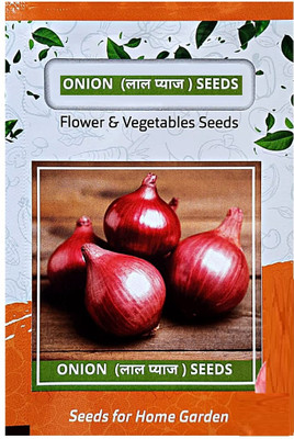 WILLVINE GOI -V Fursungi Onion Plant Seeds [100g] Seed(300 per packet)