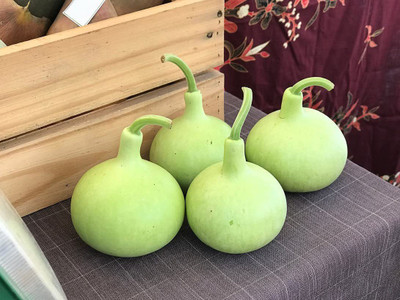 KANAYA LAW/LOWKI Round Bottle Gourd Lauki/Lau/Clabash Seed(80 per packet)