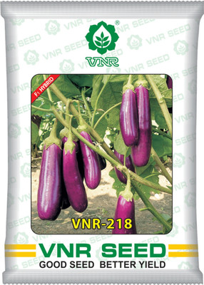 Pbevergreen Brinjal Seed(105 per packet)