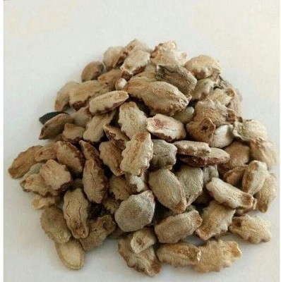 CHILLATAI Snake Gourd Seeds / Pudalangai Seed(20 per packet)