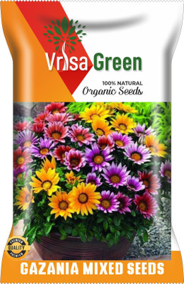 Vrisa Green GAZANIA MIXED Seed(100 per packet)