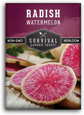 VibeX XLL-18 - Watermelon Radish - (750 Seeds) Seed(750 per packet)