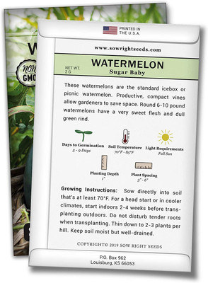 CYBEXIS VVI-21 - Sugar Baby Watermelon - (1350 Seeds) Seed(1350 per packet)