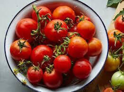 Oliver hybrid f1 quality tomato Seed(75 per packet)