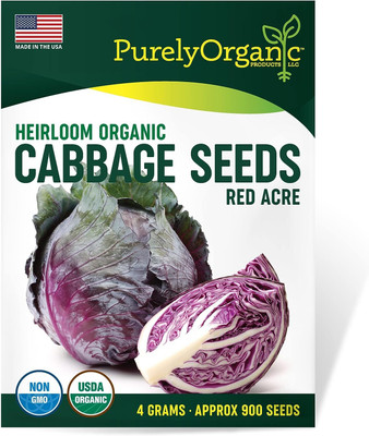 WILLVINE MEH -VII Organic Cabbage Seeds (Red Acre) [50g] Seed(15000 per packet)
