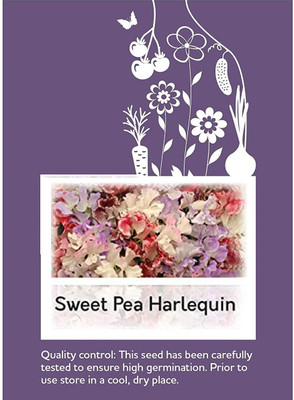 CYBEXIS Sweet Pea Striped mix Flower Seeds400 Seeds Seed(400 per packet)