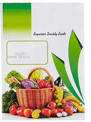 CYBEXIS Celery Heirloom Herb Seeds2800 Seeds Seed(2800 per packet)