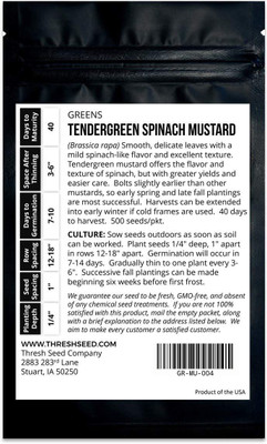CYBEXIS PUAS-77 - Tendergreen Spinach Mustard - (250 Seeds) Seed(250 per packet)