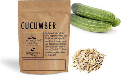 WILLVINE GUA-822 F1 Hybrid Cucumber SEEDS Seed(200 per packet)