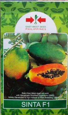 Cloud Farm SINTA F1 HYBRID PAPAYA Seed Seed(500 per packet)