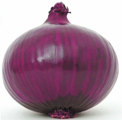 Cloud Farm Red Onion Super Nasik Seed(2000 per packet)