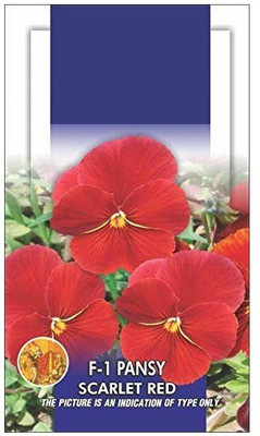 CYBEXIS Pansy Scarlet Red Flower Seeds Seed(50 per packet)