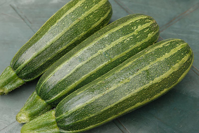 CYBEXIS NDIR-17 - Zucchini Gren Tiger - (75 Seeds) Seed(75 per packet)