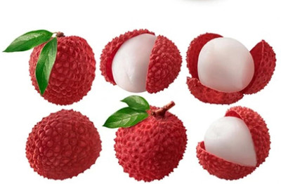 Aywal Lychee Fruit Hybrid Seed(5 per packet)