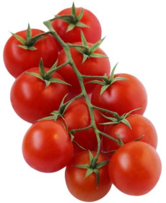 VRAKSHA Cherry Tomato,Plum Tomatoes Seed(1000 per packet)