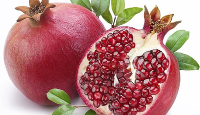 BDSresolve bedana seeds for plant/pomegranate seeds 15 Seed(15 per packet)