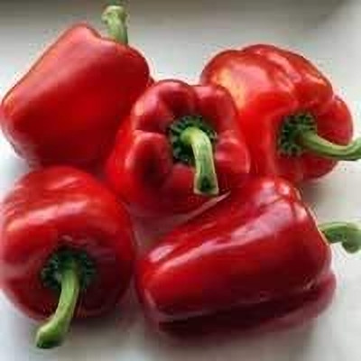 LPR CAPCICUM SEEDS, SHIMLA MIRCH Seed(200 per packet)