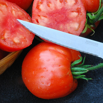 VRAKSHA Tomato Seed(500 per packet)