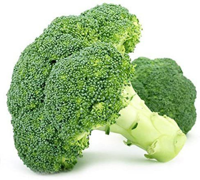 CYBEXIS GBPUT-61 - Gypsy Broccoli - (1350 Seeds) Seed(1350 per packet)