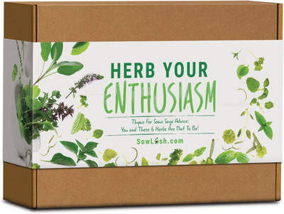 CYBEXIS Gift Seed Kit. 6 Delicious, Grow Your Own Herb Varieties Seed(10 g)