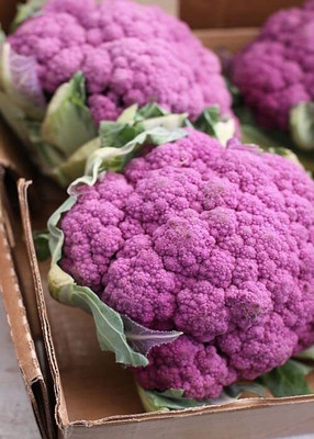 Aywal High Germination Purple Cauliflower Vegetable Seed(130 per packet)
