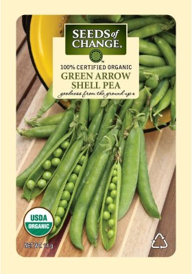 VibeX HUA-48 - Organic Green Arrow Shell Pea - (100 Seeds) Seed(100 per packet)