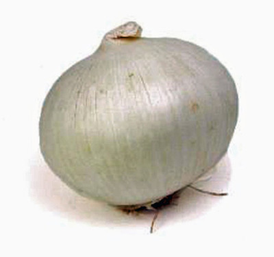 Biosnyg Disease-Resistant Spanish White Onion Seeds for Terrace Gardening-(3000 Seeds) Seed(3000 per packet)