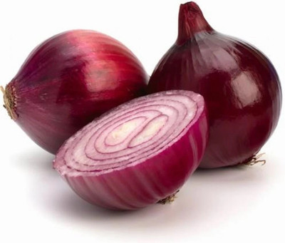 Quentova Brunswick wine red Onion-TKK-2U Seed(200 per packet)