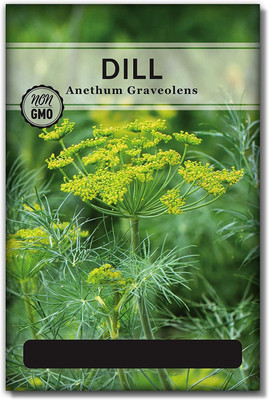 CYBEXIS Anethum graveolens Seed(250 per packet)
