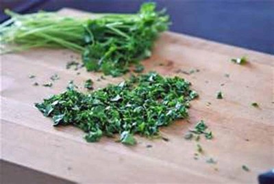 KNESSiN Cilantro Slow Bolt, Heirloom, Non GMO, Herb/Spice-{2000 Seeds} Seed(2000 per packet)