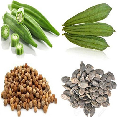 Aywal Bhindi Okra and Ridge Gourd Seed(30 per packet)