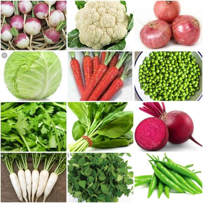 ibains Seeds vegetable Seed(520 per packet)