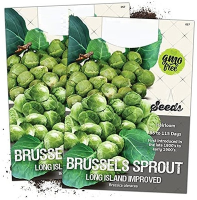 WILLVINE Brussels Sprout Long Island Improved (Brassica oleracea)-2 x Packet Seed(200 per packet)