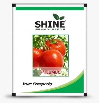 SHINE BRAND SEEDS Tomato Jumbo Seeds F1 Hybird | Tamatar ke Beej | For Outdoor and kitchen Garden Seed(10 g)