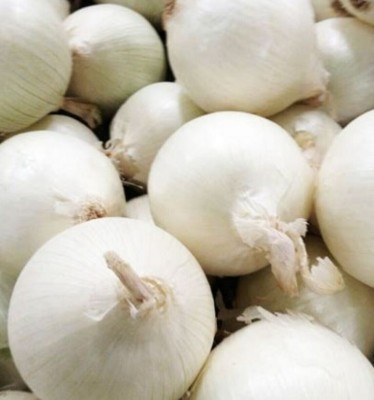 Quentova White Sweet Spanish Onion-RJ-3J Seed(250 per packet)