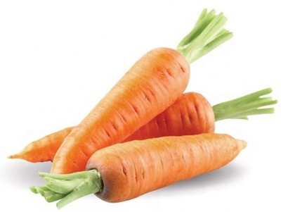 Quentova विलायती गाजर Orange Carrot-5A-VXI Seed(300 per packet)