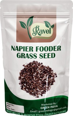 Ravel Napier Fodder Grass seed, Elephant grass, PENNISETUM PURPUREUM GRASS SEEDS 1kg Seed(1 kg)