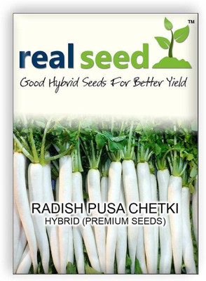 WILLVINE Radish F1 Hybrid Imported Vegetable Seeds-[2000 Seeds] Seed(2000 per packet)