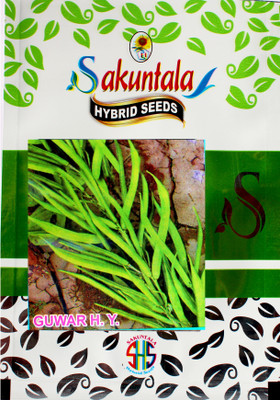 Sakuntala Hybrid Seeds Gawar Beans Seeds Cluster Beans Seeds Gawar H.Y Beans Seeds Hybrid Cluster Beans Seed(100 per packet)