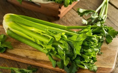 Quentova Organic Celery-Tall Utah-8H-XII Seed(200 per packet)