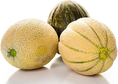 XOLDA Organic muskmelon Seed(26 per packet)