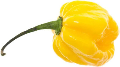 Qualtivate PUA5-A Lemon Habañero Hot Pepper Chilli Seed(300 per packet)
