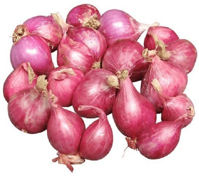 SONIRO Small Shallot Onion Seed(70 per packet)