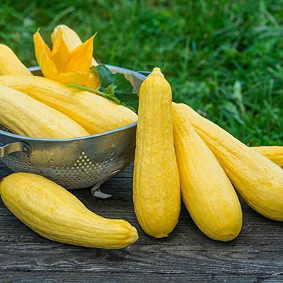 CRGO CUCUMBER , KHEERA Seed(35 per packet)