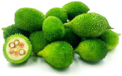 the green dotcom hybrid kantola seeds/kantola seeds 7 Seed(7 per packet)