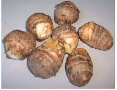 Aywal Taro Root,Kachu Seed(30 per packet)