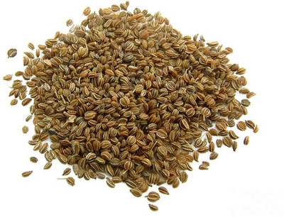 Qualtivate NDIR-152 Celeriac Turnip-rooted Celery Seed(500 per packet)