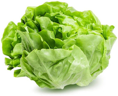 Aywal Gourmet Blend Lettuce Seed(450 per packet)