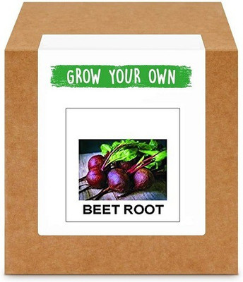 CYBEXIS Beetroot-250 Seeds Seed(250 per packet)