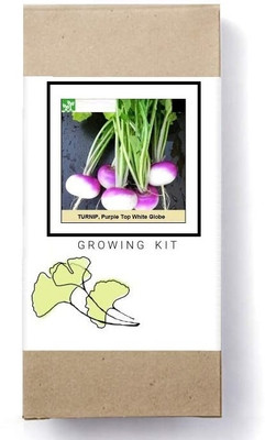 Biosnyg White Globe Purple Top Turnip Seed(250 per packet)